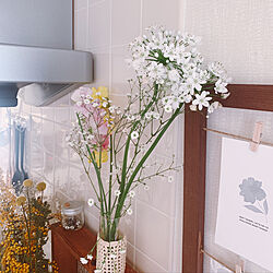 花瓶/花のある暮らし/白い花/壁/天井のインテリア実例 - 2021-03-09 08:09:51