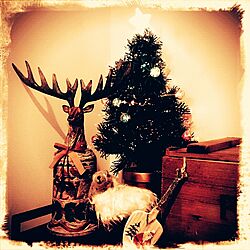 棚/スタジオクリップ/クリスマスツリーのインテリア実例 - 2014-11-19 19:01:18
