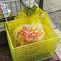 玄関/入り口/生活感丸出し/ねこのいる日常/DIY/保護猫...などのインテリア実例 - 2017-07-03 11:55:16