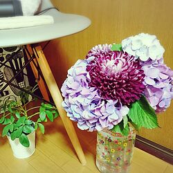 窓辺のグリーン/紫陽花/お花のある暮らしのインテリア実例 - 2016-06-28 01:17:44