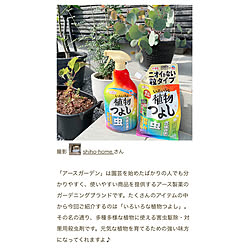 ガーデニング/植物つよし/RoomClip mag/ナチュラルな暮らし/観葉植物...などのインテリア実例 - 2023-07-04 22:45:10