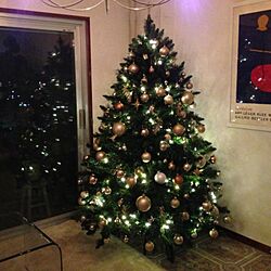 クリスマスツリー/リビングのインテリア実例 - 2014-11-17 01:12:07