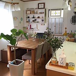 リビング/DIY/観葉植物/手作り/おうちカフェ空間...などのインテリア実例 - 2015-09-09 11:52:47