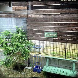 玄関/入り口/植物のインテリア実例 - 2012-05-15 11:24:44