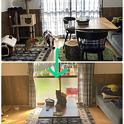 猫と暮らす家/RoomClipショッピング/部屋全体のインテリア実例 - 2022-11-24 12:07:54