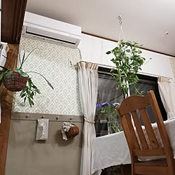 リビング/水で貼れる壁紙/壁紙屋本舗さん/ベニヤ板 DIY/セリア引き出し用つまみ...などのインテリア実例 - 2023-06-10 22:21:59