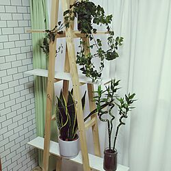 ベッド周り/団地/海外インテリアに憧れる/greenある生活に憧れる/DIY...などのインテリア実例 - 2016-10-03 16:58:18