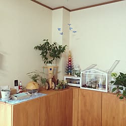 部屋全体/DIY/花のある暮らし/緑のある暮らし/観葉植物...などのインテリア実例 - 2016-09-13 08:24:56