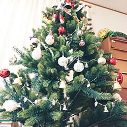 リビング/クリスマスツリー/プラスティフロアー195㎝のインテリア実例 - 2016-11-26 09:44:51