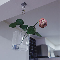 花瓶/フラワーベース/花のある暮らし/壁/天井/植物のある暮らしのインテリア実例 - 2021-01-19 00:20:40