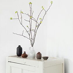 リビング/vintage/décor/vase/German...などのインテリア実例 - 2017-03-16 14:39:51