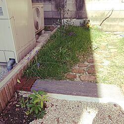玄関/入り口/DIY/カフェ風/植物/花壇...などのインテリア実例 - 2017-04-28 08:34:03