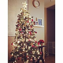 リビング/クリスマスツリーのインテリア実例 - 2014-12-05 14:51:09