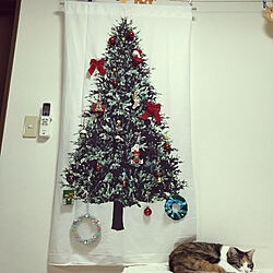 猫と暮らす家/クリスマス/ねこと暮らす/ねこのいる生活/リビングのインテリア実例 - 2022-11-24 14:18:20
