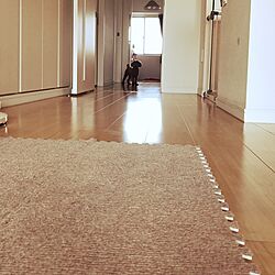 壁/天井/廊下/愛犬と暮らす家/ニトリのジョイントマットのインテリア実例 - 2017-07-14 09:35:38