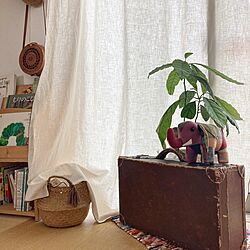 植物のある暮らし/エコな暮らし/かご大好き/サスティナブルな暮らし/ナチュラルな暮らし...などのインテリア実例 - 2022-04-22 22:44:39