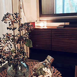 リビング/ブロックランプ/リグナテラス東京/花瓶/植物のある部屋...などのインテリア実例 - 2017-10-11 20:42:37