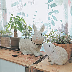 棚/植物のある暮らし/100円ショップ/ハンドメイド作品/DIY...などのインテリア実例 - 2021-03-24 17:44:32