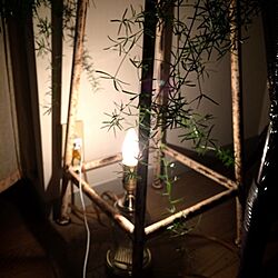 ベッド周り/照明/観葉植物/ジャンクのインテリア実例 - 2014-09-09 22:53:10