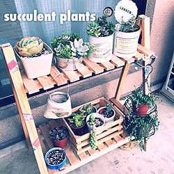 玄関/入り口/ベランダ/ベランダガーデン/多肉寄せ植え/多肉植物の寄せ植え...などのインテリア実例 - 2015-05-01 00:09:51