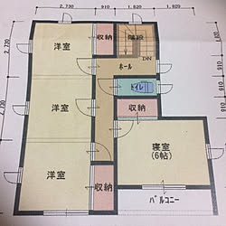 部屋全体/間取り図/三姉妹/新築一戸建て/新築記録...などのインテリア実例 - 2017-08-15 12:47:27