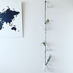 壁/天井/IKEA/シンプルインテリア/北欧/観葉植物...などのインテリア実例 - 2016-07-25 20:36:16