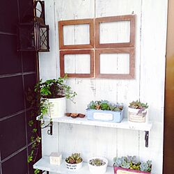板壁DIY/窓枠風/寄せ植え/リメ缶/植物...などのインテリア実例 - 2015-06-27 18:59:13