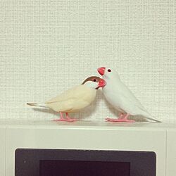 壁/天井/雑貨/鳥のインテリア実例 - 2014-05-28 20:46:47