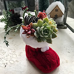 100均クリスマス雑貨/アンティーク家具/クリスマス/マンション暮らし/多肉植物寄せ植え...などのインテリア実例 - 2019-12-09 21:11:08