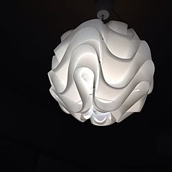 壁/天井/北欧/照明のインテリア実例 - 2014-11-11 02:04:31