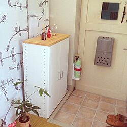 玄関/入り口/DIY/手作り/IKEAのインテリア実例 - 2013-09-16 12:46:51