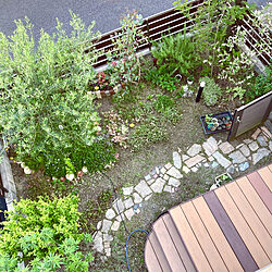 石畳/石畳小径DIY/新緑の季節/5月の庭/ベランダから見下ろした庭...などのインテリア実例 - 2021-05-13 17:45:29