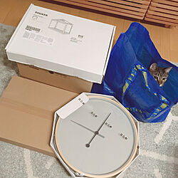 猫のいる暮らし/壁掛け時計/IKEA/戦利品/部屋全体のインテリア実例 - 2020-10-12 00:14:32