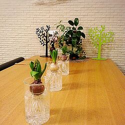 机/ちょっと緑/natural/植物のある暮らしのインテリア実例 - 2017-03-02 20:29:54
