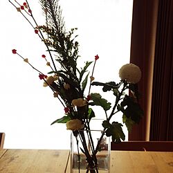 リビング/お正月飾り/観葉植物/IKEAのインテリア実例 - 2016-01-13 01:48:33