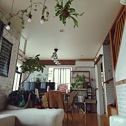 部屋全体/DIY/観葉植物のある部屋/男前インテリア/いなざうるす屋さん♡...などのインテリア実例 - 2017-02-27 14:31:36