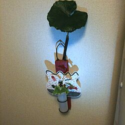 壁/天井/植物/花瓶/ポストカード/文房具のインテリア実例 - 2012-06-30 17:12:37