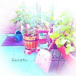 玄関/入り口/ベランダガーデン/植物のインテリア実例 - 2014-04-14 17:38:41