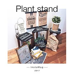 部屋全体/植物台/植物のある暮らし/植物/植物棚...などのインテリア実例 - 2017-06-16 05:35:49