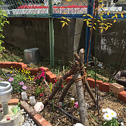 garden/庭/玄関/入り口のインテリア実例 - 2020-04-19 12:35:35