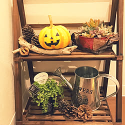 玄関/入り口/ハロウィンディスプレイ/雑貨/観葉植物/多肉植物...などのインテリア実例 - 2017-10-13 18:00:58