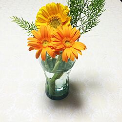 キッチン/切り花のインテリア実例 - 2017-04-11 12:49:30