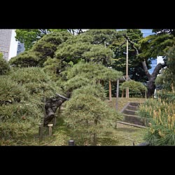 庭/ガーデンのインテリア実例 - 2017-05-03 22:32:24