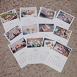多肉カレンダー/手作りカレンダー/カレンダー/ポストカード/カレンダー2016...などのインテリア実例 - 2015-12-06 08:19:08