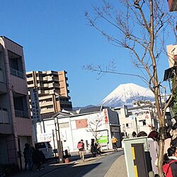 部屋全体/富士山/新年のご挨拶/インテリアではありませんが…/お正月のインテリア実例 - 2017-01-01 11:40:59