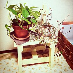 リビング/植物/DIYのインテリア実例 - 2013-08-30 12:28:50