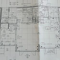 部屋全体/マイホーム/建設中/マイホーム記録/間取り図...などのインテリア実例 - 2017-01-24 01:53:44