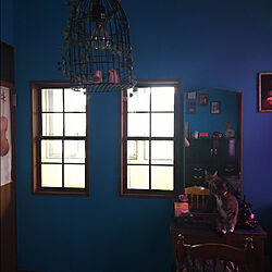 鏡/手作りライト/室内窓/青い部屋/猫...などのインテリア実例 - 2020-09-08 00:18:56