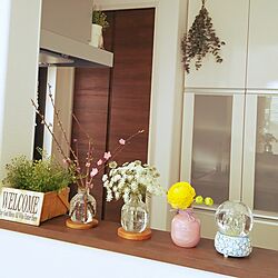 キッチン/花のある暮らし/ドライフラワー/建て売り一戸建て/マルティネリの空き瓶...などのインテリア実例 - 2017-03-10 15:38:34