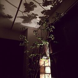 壁/天井/照明/植物のインテリア実例 - 2014-06-10 21:18:33
